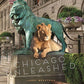 Chicago Unleashed Coffee Table Book By Larry Broutman book cover.